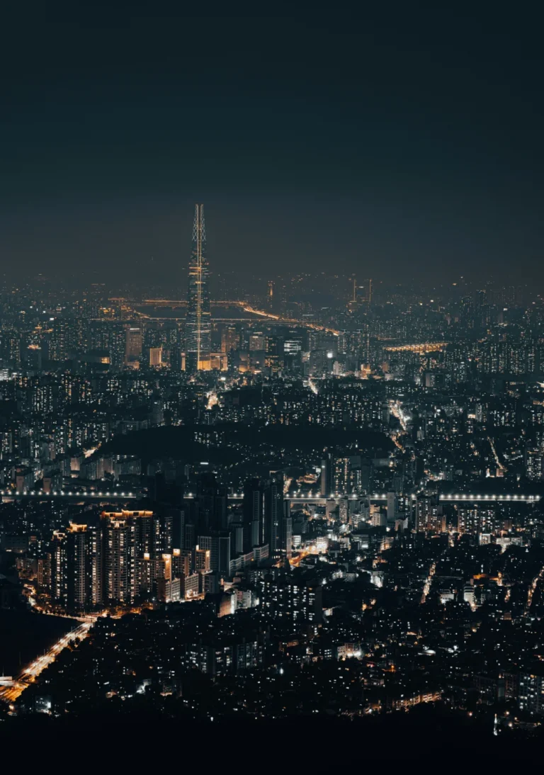 Seoul night view