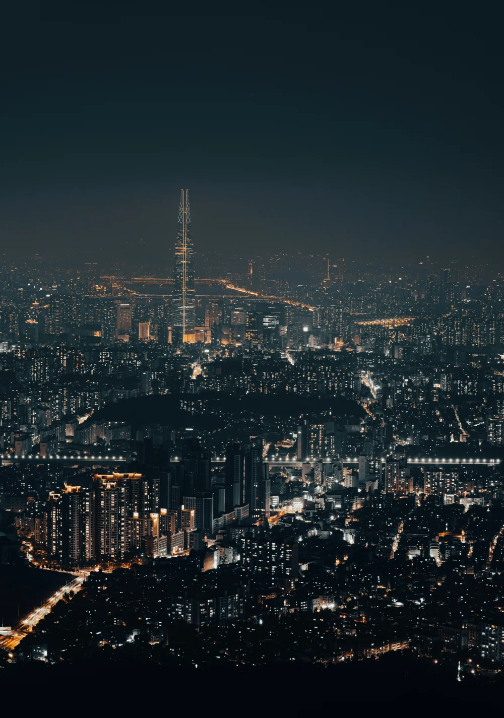 Seoul night view
