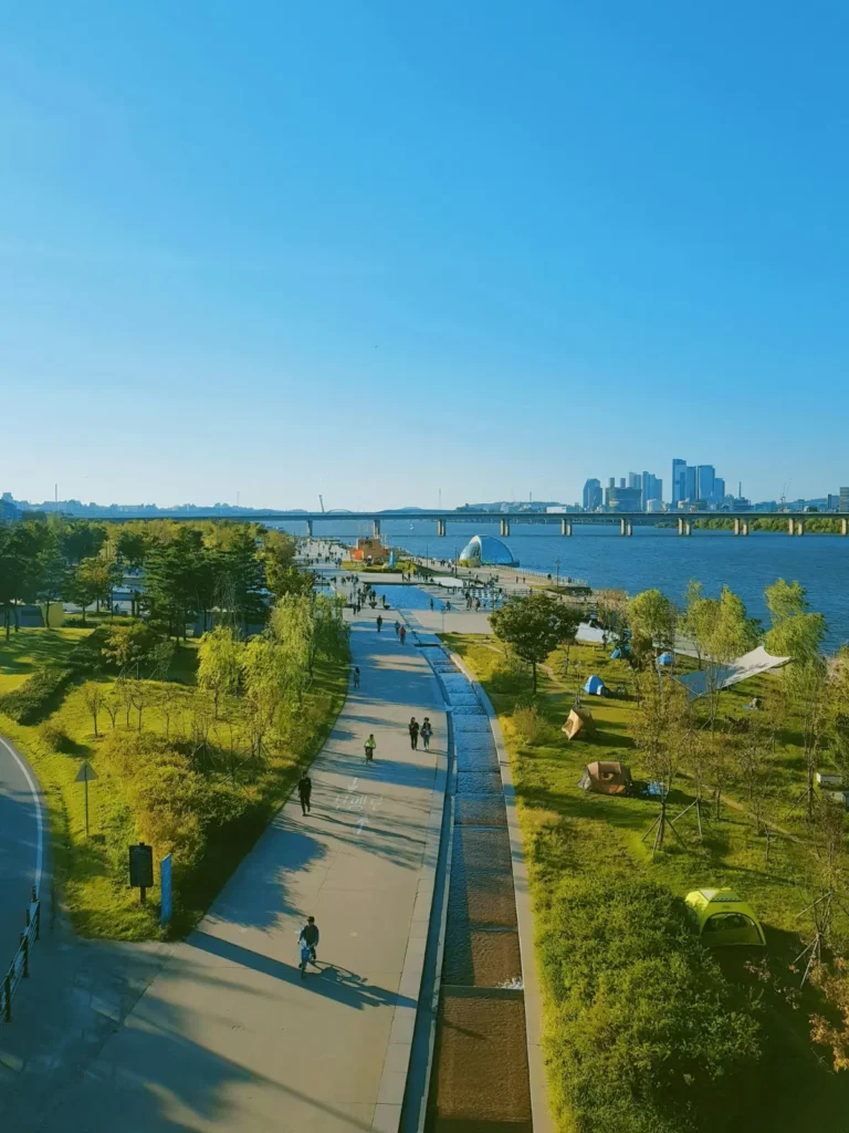picnic in han river
